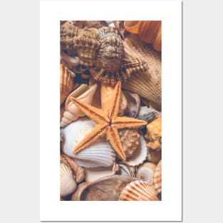 Travel Summer Relax Vacation Seashell Starfish Posters and Art